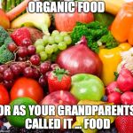 What should I eat? | ORGANIC FOOD; OR AS YOUR GRANDPARENTS CALLED IT … FOOD | image tagged in organic food | made w/ Imgflip meme maker