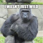 Bad joke gorilla | WHEN THEY CAUGHT ME IN THE JUNGLE; I WASN'T JUST WILD; I WAS ABSOLUTELY LIVID | image tagged in bad joke gorilla | made w/ Imgflip meme maker