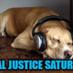 I can't even, dog | SOCIAL JUSTICE SATURATION | image tagged in dog can't even | made w/ Imgflip meme maker