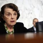 Dianne Feinstein dimwit