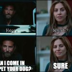 A Star Is Born | SURE; CAN I COME IN AND PET YOUR DOG? | image tagged in a star is born | made w/ Imgflip meme maker