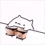 bongo cat meme
