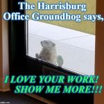 groundhog | The Harrisburg Office Groundhog says, I LOVE YOUR WORK!      SHOW ME MORE!!! | image tagged in groundhog | made w/ Imgflip meme maker