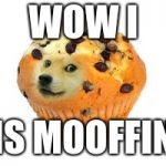 doge muffin | WOW I; IS MOOFFIN | image tagged in doge muffin | made w/ Imgflip meme maker