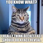 The people have spoken. Beckett, it needs to be done. | YOU KNOW WHAT? I REALLY THINK BECKETT437 SHOULD DO A FACE REVEAL. | image tagged in memes,funny,serious cat,beckett437 | made w/ Imgflip meme maker