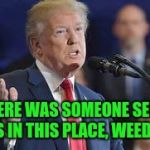 Donald..The Drug Dealers are the Pharmaceutical Companies | IF THERE WAS SOMEONE SELLING DRUGS IN THIS PLACE, WEED KNOW | image tagged in donaldthe drug dealers are the pharmaceutical companies | made w/ Imgflip meme maker