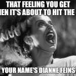 The Bride of Frankenstein | THAT FEELING YOU GET WHEN IT'S ABOUT TO HIT THE FAN; AND YOUR NAME'S DIANNE FEINSTEIN | image tagged in the bride of frankenstein | made w/ Imgflip meme maker