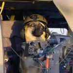 Dog Helicopter