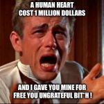 Crying Man | A HUMAN HEART COST 1 MILLION DOLLARS; AND I GAVE YOU MINE FOR FREE YOU UNGRATEFUL BIT*H ! | image tagged in crying man,broken heart,cheating,betrayal,ungrateful | made w/ Imgflip meme maker