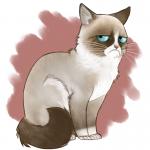 Grumpy Cat Drawing