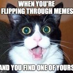 whoa cat | WHEN YOU'RE FLIPPING THROUGH MEMES; AND YOU FIND ONE OF YOURS | image tagged in whoa cat | made w/ Imgflip meme maker