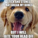 Cute dog | STICK AND STONES MAY BREAK MY BONES; BUT I WILL BITE YOUR HEAD OFF | image tagged in cute dog | made w/ Imgflip meme maker