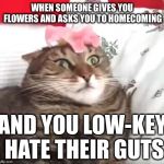 "Oh, I'll be sick that day... Sick of YOU!" | WHEN SOMEONE GIVES YOU FLOWERS AND ASKS YOU TO HOMECOMING; AND YOU LOW-KEY HATE THEIR GUTS | image tagged in repulsed kitty,high school,awkward,funny,flowers,cats | made w/ Imgflip meme maker