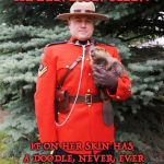 Sergeant Dave Warns | ATTENTION MEN! IF ON HER SKIN HAS A DOODLE, NEVER, EVER LET HER TOUCH YOUR NOODLE | image tagged in mountie beaver,tattoos,stds,canada | made w/ Imgflip meme maker