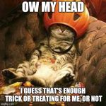trick or treat cat | OW MY HEAD; I GUESS THAT'S ENOUGH TRICK OR TREATING FOR ME, OR NOT | image tagged in trick or treat cat,halloween,memes | made w/ Imgflip meme maker