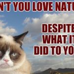 A socrates and Craziness_all_the_way event. Oct 5th-8th. | DON'T YOU LOVE NATURE DESPITE WHAT IT DID TO YOU? | image tagged in memes,grumpy cat sky,grumpy cat,grumpy cat weekend,jokes,nature | made w/ Imgflip meme maker