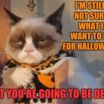Grumpy cat Halloween | I'M STILL NOT SURE WHAT I WANT TO BE FOR HALLOWEEN; BUT YOU'RE GOING TO BE DEAD | image tagged in grumpy cat halloween,memes,grumpy cat,grumpy cat weekend,halloween,death wish | made w/ Imgflip meme maker