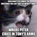Screaming Cat | EVERYBODY ELSE WHEN THE WATCHING THE LAST PART OF INFINITY WARS; WHERE PETER CRIES IN TONY'S ARMS | image tagged in screaming cat | made w/ Imgflip meme maker