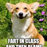 Mischievous Corgi maybe i'll | FART IN CLASS AND THEN BLAME IT ON THE TEACHER | image tagged in mischievous corgi maybe i'll,corgi,farts,teacher,class | made w/ Imgflip meme maker