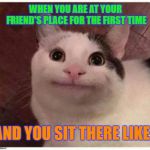 Hahah,anyone can relate to this? | WHEN YOU ARE AT YOUR FRIEND'S PLACE FOR THE FIRST TIME; AND YOU SIT THERE LIKE ... | image tagged in polite cat,funny,relatable,imgflip | made w/ Imgflip meme maker