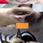 Grumpy Cat Weekend (A Socrates and Craziness_all_the_way_event) | HOW MANY IDIOTS DOES IT TAKE TO SCREW UP MY FAVORITE MEXICAN DISH; JUAN | image tagged in bad pun grumpy cat,memes,funny,grumpy cat weekend | made w/ Imgflip meme maker