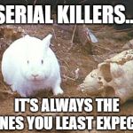 SURPRISE!!!  | SERIAL KILLERS... IT'S ALWAYS THE ONES YOU LEAST EXPECT | image tagged in monty python rabbit,serial killer,bunny,danger | made w/ Imgflip meme maker