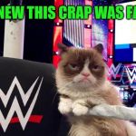 Close-up view (A socrates and Craziness_all_the_way event. Oct 5th-8th) | I KNEW THIS CRAP WAS FAKE | image tagged in wwwe grumpy cat,memes,wrestling,fake,grumpy cat weekend | made w/ Imgflip meme maker