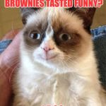 Grumpy Cat Weekend by Craziness_all_the_way and socrates!  | REMEMBER WHEN THOSE BROWNIES TASTED FUNNY? I DOO | image tagged in memes,grumpy cat happy,grumpy cat,socrates,craziness_all_the_way | made w/ Imgflip meme maker