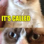 Christmas is just around the corner. | I'M COMING OUT WITH MY OWN BRAND OF CATNIP. IT'S CALLED; SLAP YO MAMA | image tagged in grumpy cat,catnip,cats,slap yo mama for her | made w/ Imgflip meme maker