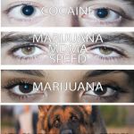 eyes on drugs | WTH IS WRONG WITH YOU PEOPLE? | image tagged in eyes on drugs | made w/ Imgflip meme maker