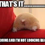 hamster butt | THAT'S IT.................. I'M GOING AND I'M NOT LOOKING BACK!!! | image tagged in hamster butt | made w/ Imgflip meme maker