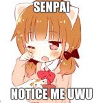 Senpai notice me | SENPAI; NOTICE ME UWU | image tagged in senpai notice me | made w/ Imgflip meme maker