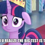 Mlp twilight | WHEN U REALIZE THE BIG TEST IS TODAY | image tagged in mlp twilight | made w/ Imgflip meme maker