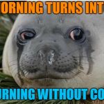 Crying Seal | MORNING TURNS INTO; MOURNING WITHOUT COFFEE | image tagged in crying seal | made w/ Imgflip meme maker
