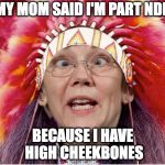 Pocahontas Warren | MY MOM SAID I'M PART NDN; BECAUSE I HAVE HIGH CHEEKBONES | image tagged in pocahontas warren | made w/ Imgflip meme maker