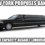 Limousine | NEW YORK PROPOSES BAN ON; HIGH CAPACITY ASSAULT LIMOUSINES! | image tagged in limousine | made w/ Imgflip meme maker