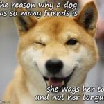 wink doge | The reason why a dog has so many friends is; she wags her tail and not her tongue. | image tagged in wink doge | made w/ Imgflip meme maker