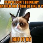 Grumpy must have a soft side, right? | PEOPLE DON'T THINK MY HATRED FOR THEM BE LIKE IT IS; BUT IT DO | image tagged in introspective grumpy cat,memes,people don't think it be like it is but it do,hatred | made w/ Imgflip meme maker