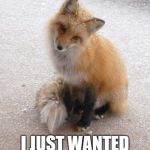Sowwyy.. | I'M SOWWY... I JUST WANTED A FWIEND... :( | image tagged in fox,sad | made w/ Imgflip meme maker