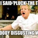 That's Fowl! | NOOO, I SAID 'PLUCK' THE TURKEY; YOU BLOODY DISGUSTING WANKER | image tagged in gordon ramsay,turkey,wanker,disgusting,funny,memes | made w/ Imgflip meme maker