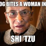 Ruth Bader Ginsburg | IF YOUR DOG BITES A WOMAN IN THE PARK; SHI ‘TZU | image tagged in ruth bader ginsburg,memes,bad pun | made w/ Imgflip meme maker
