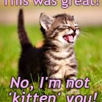 Yep. I'm awesome. | This was great! No, I'm not 'kitten' you! | image tagged in yep i'm awesome | made w/ Imgflip meme maker