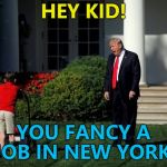 Donald Trump finds a replacement for Nikki Haley... :) | HEY KID! YOU FANCY A JOB IN NEW YORK? | image tagged in trump lawn mower,memes,nikki haley,donald trump,un ambassador,politics | made w/ Imgflip meme maker
