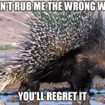 Porcupine | DON'T RUB ME THE WRONG WAY; YOU'LL REGRET IT | image tagged in porcupine | made w/ Imgflip meme maker