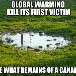 puddle-flood | GLOBAL WARMING KILL ITS FIRST VICTIM; HERE WHAT REMAINS OF A CANADIAN | image tagged in puddle-flood | made w/ Imgflip meme maker