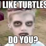 I like turtles | I LIKE TURTLES; DO YOU? | image tagged in i like turtles | made w/ Imgflip meme maker