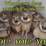 Amazed Owls | Whoooooo does amazing work???? YOU!   YOU!   YOU! | image tagged in amazed owls | made w/ Imgflip meme maker
