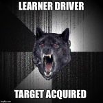 Insany Wolf | LEARNER DRIVER; TARGET ACQUIRED | image tagged in insany wolf | made w/ Imgflip meme maker
