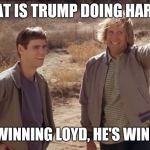 Dumb Dumber Luck | WHAT IS TRUMP DOING HARRY? HE'S WINNING LOYD, HE'S WINNING! | image tagged in dumb dumber luck | made w/ Imgflip meme maker