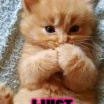 ADORABLE FART | OOPS EXCUSE ME; I JUST LETS A FARTSY! | image tagged in adorable fart | made w/ Imgflip meme maker